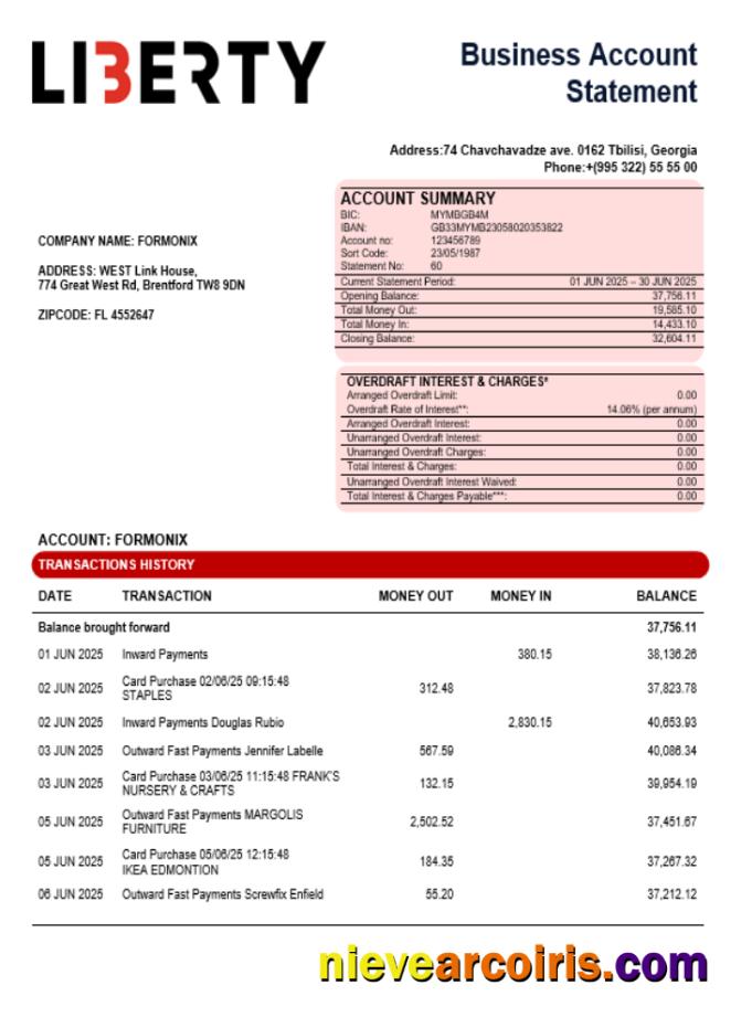 Liberty bank organization checking account statement